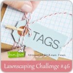 lawnscaping #46