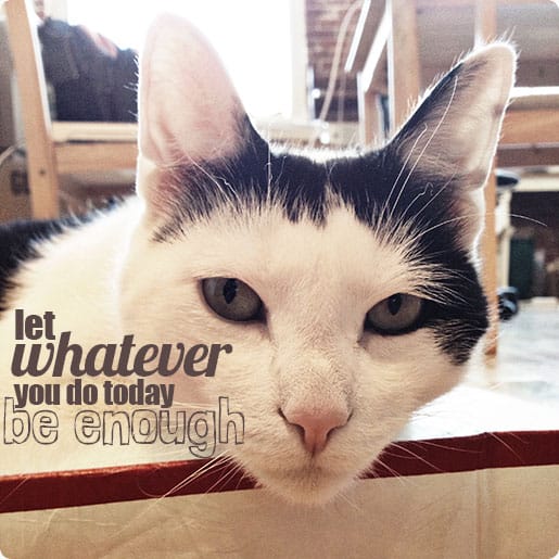 tgih-may3